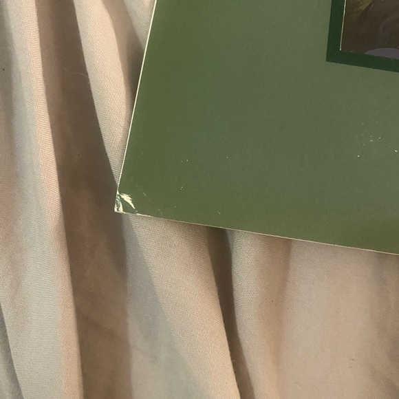 Disney Exclusive Commemorative Lithograph with Green Frame - Picture 8 of 8